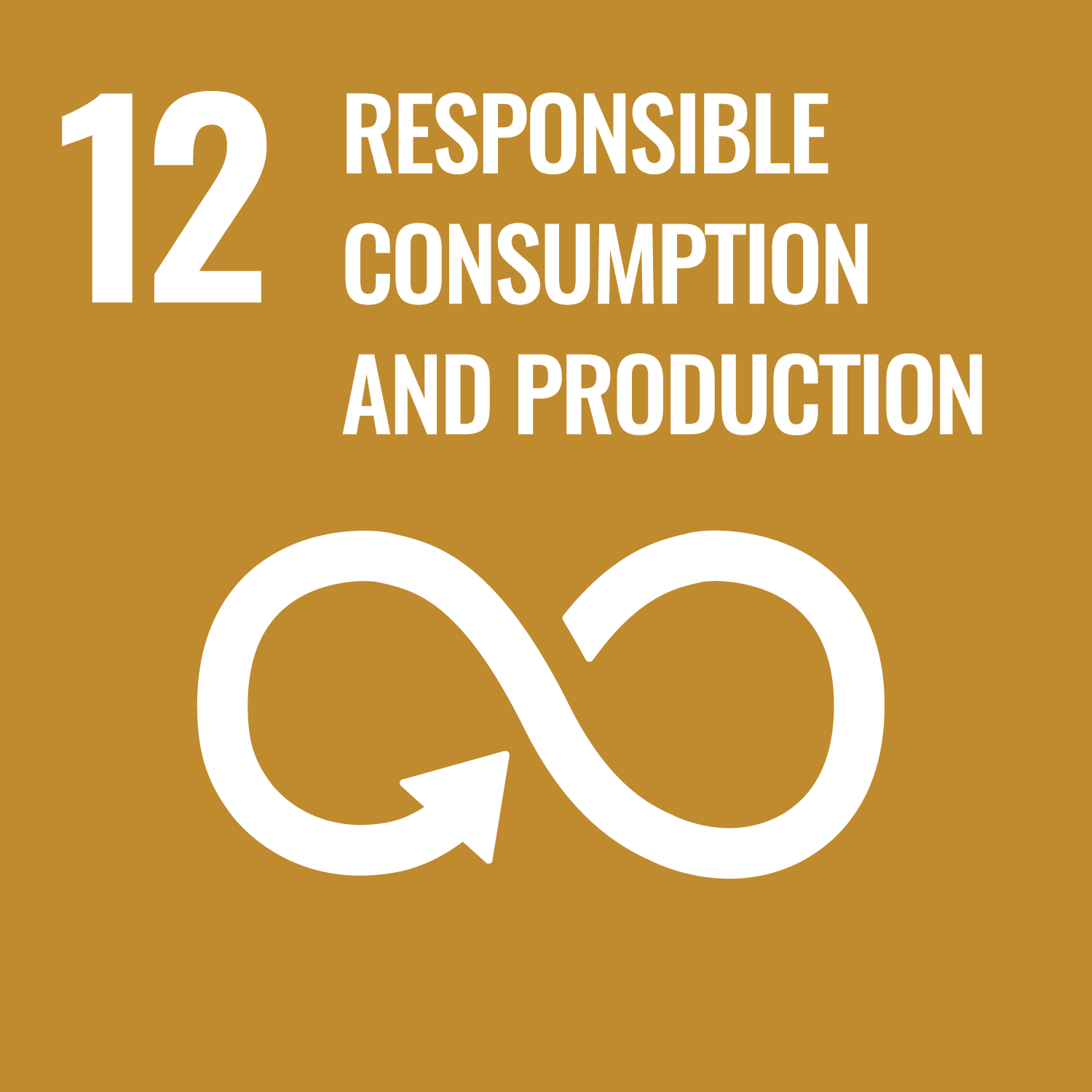 Number 12 Responsible Consumption and production