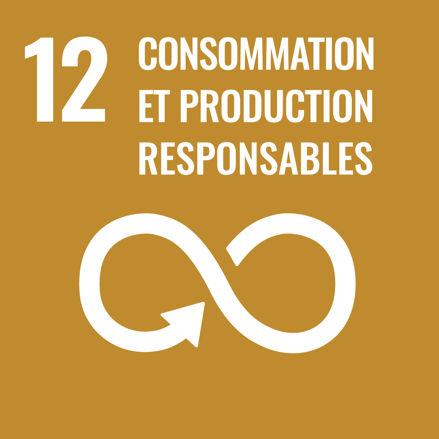 consommation et production responsables