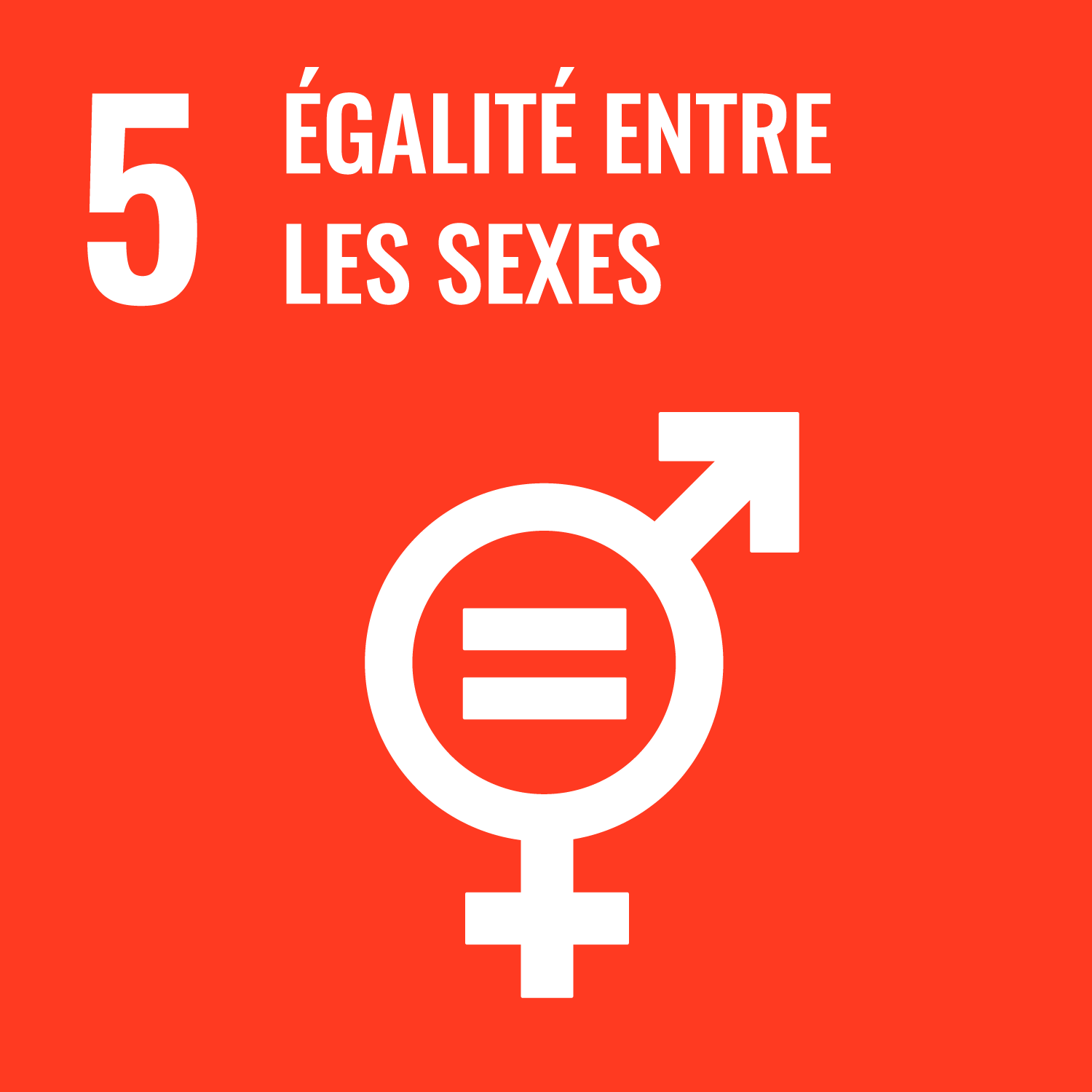 égalité entre les sexes